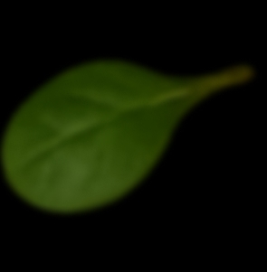 Leaf
